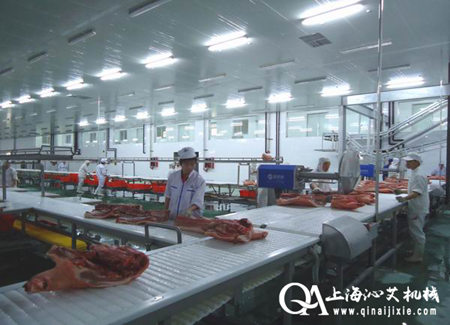 食品網(wǎng)帶鏈輸送機(jī)
